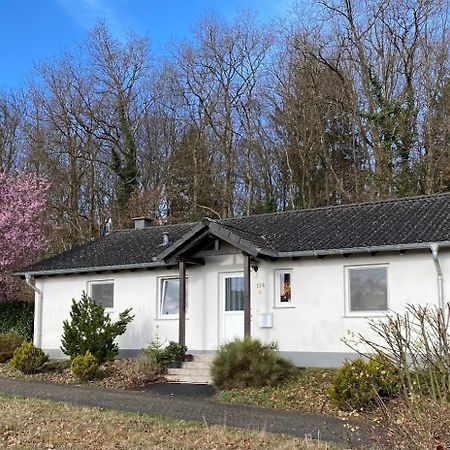 'T Boszicht Villa Gerolstein Exterior foto